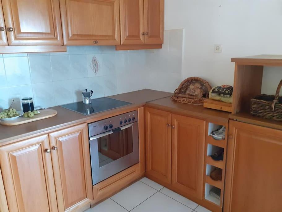 Olivenhainhaus / Eleonas Apartman Asopos Kültér fotó